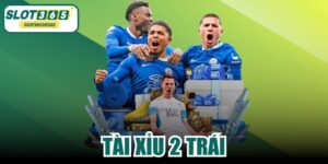 Tài Xỉu 2 Trái